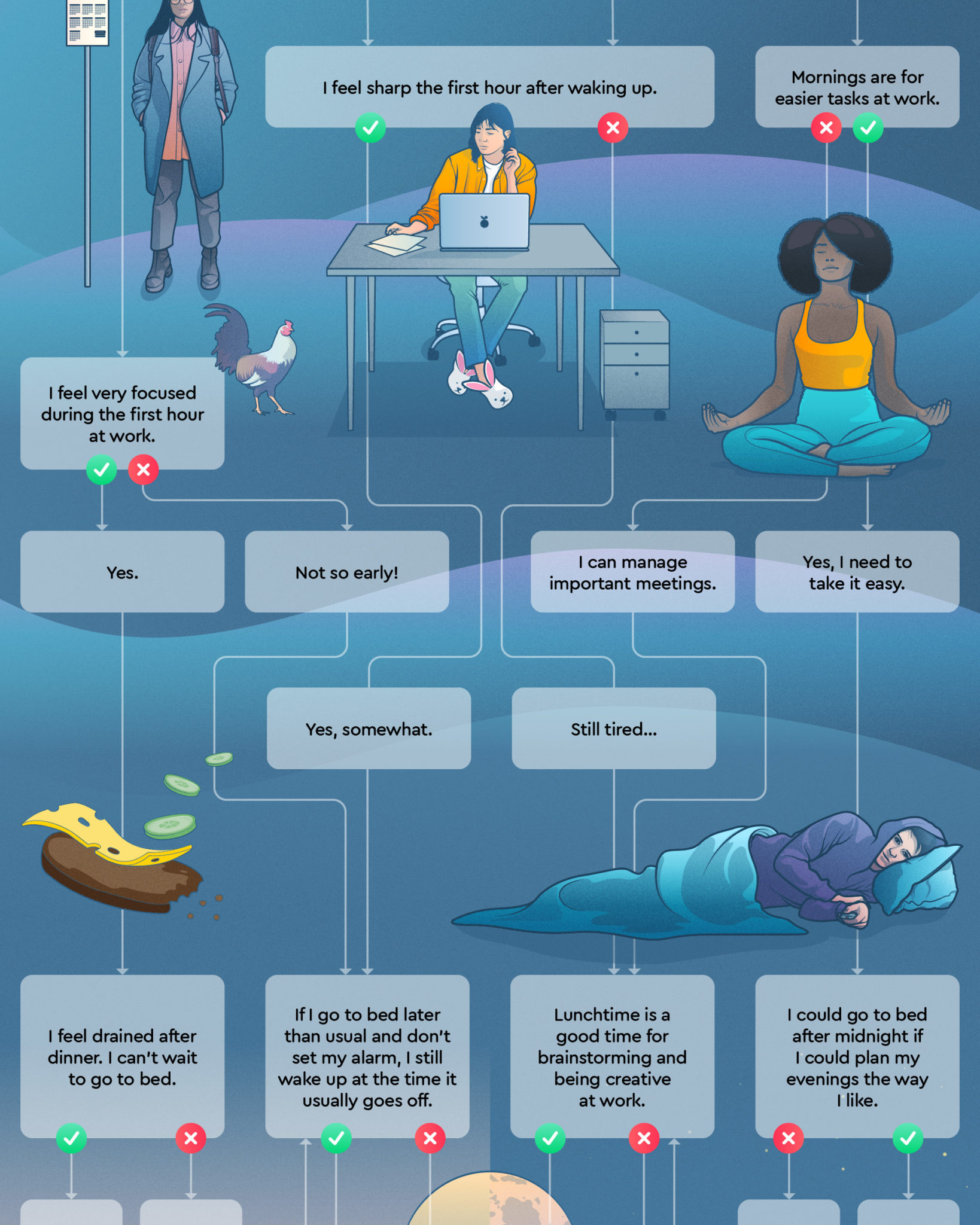 What Is Your Sleep Chronotype Sleep Cycle